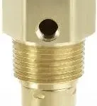 Tank mounted check valve for use in compressed air systems in Malaysia